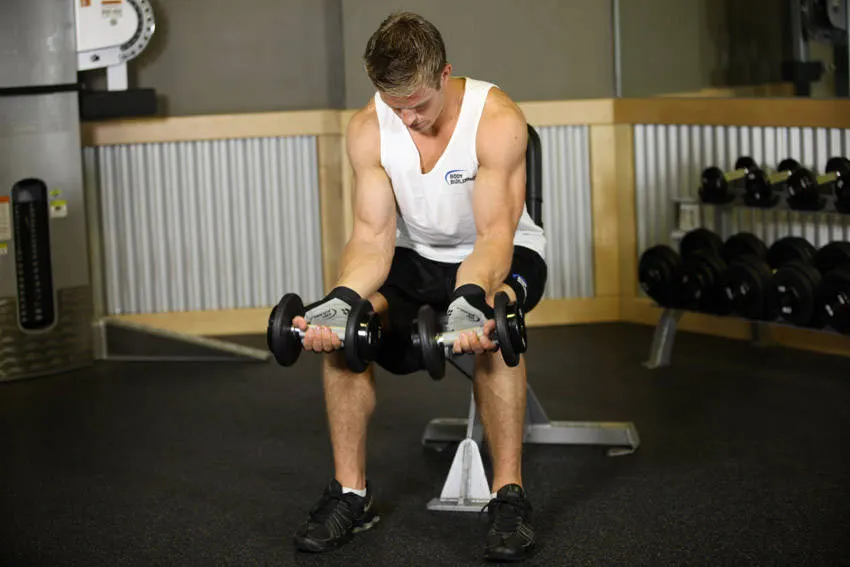 Seated Dumbbell Palms-Up Wrist Curl exercise
