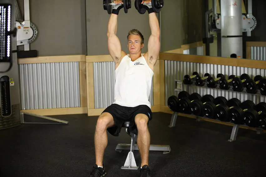 Seated Dumbbell Press — starting position