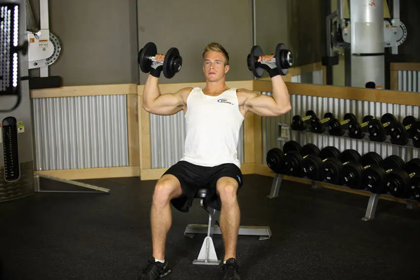 Seated Dumbbell Press — end position