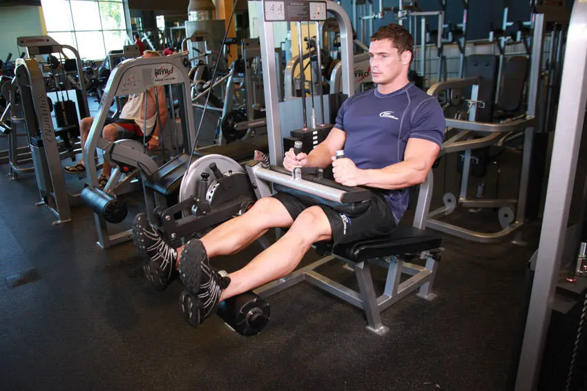 Seated Leg Curl exercise