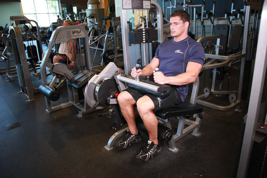Seated Leg Curl — end position