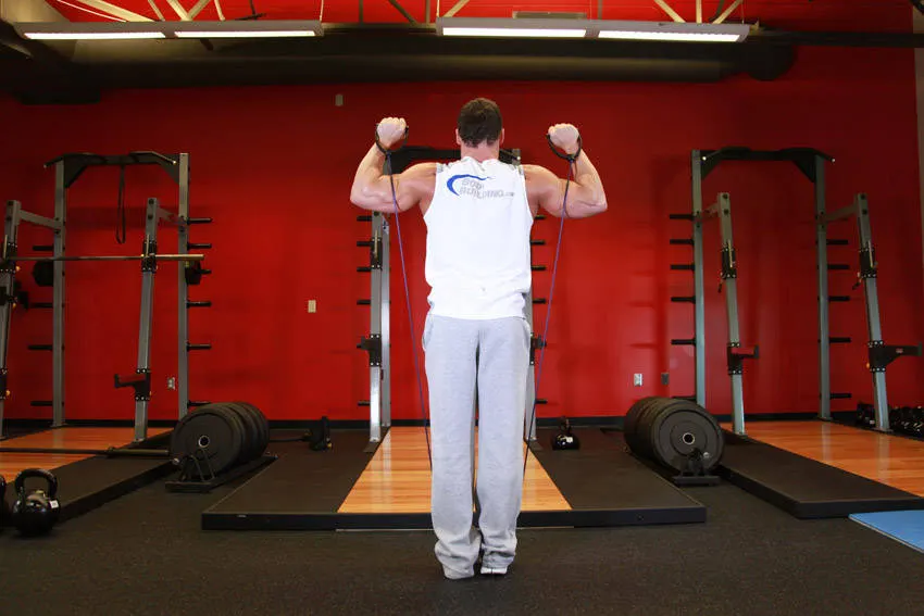 Shoulder Press - With Bands exercise