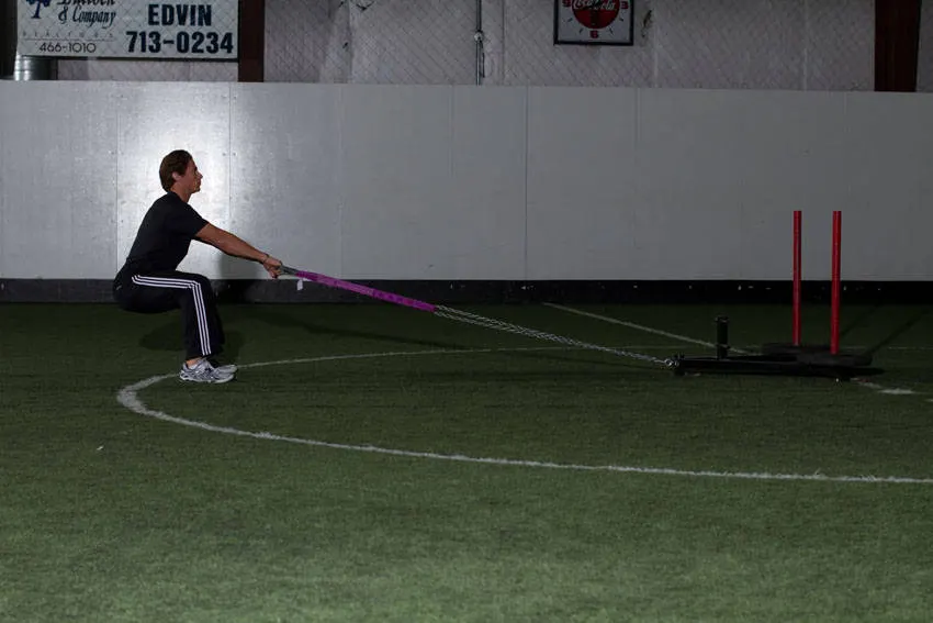 Sled Row exercise