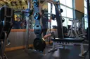 Smith Single-Leg Split Squat exercise