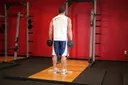 Standing Dumbbell Calf Raise exercise