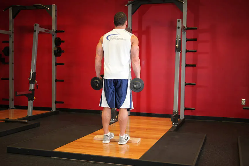 Standing Dumbbell Calf Raise exercise
