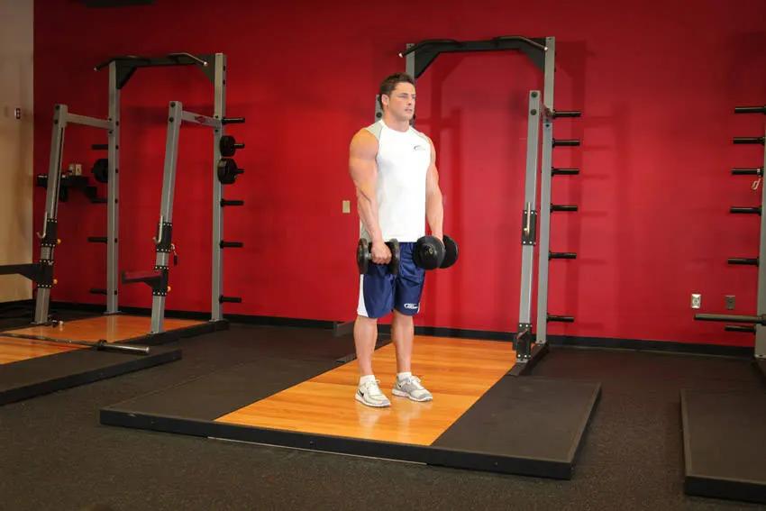 Standing Dumbbell Reverse Curl exercise