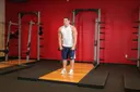 Standing Dumbbell Straight-Arm Front Delt Raise Above Head exercise