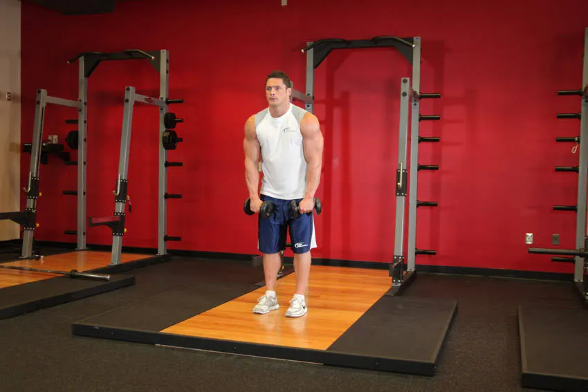 Standing Dumbbell Straight-Arm Front Delt Raise Above Head — starting position