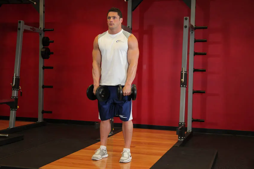 Standing Dumbbell Upright Row — end position