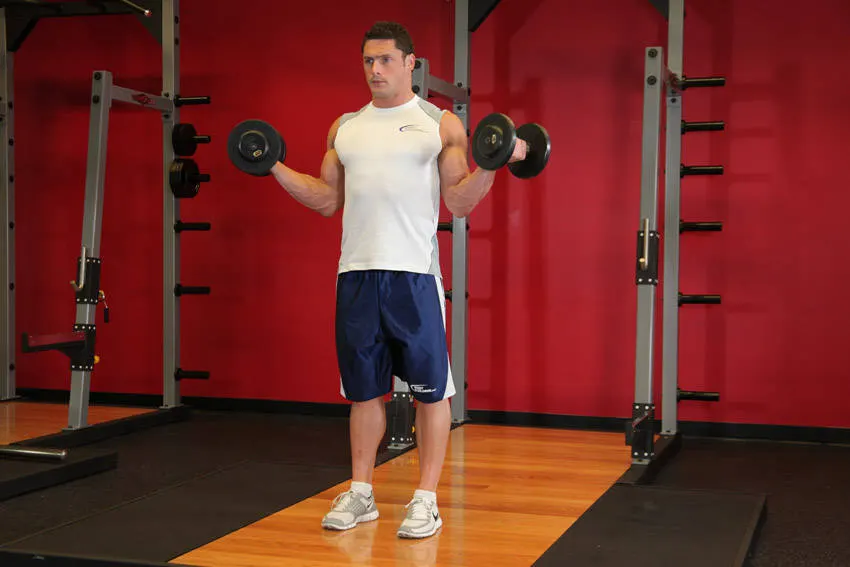 Standing Inner-Biceps Curl — end position