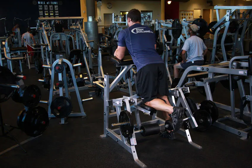 Standing Leg Curl exercise