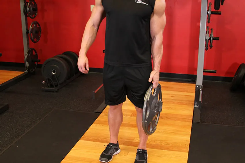 Standing Olympic Plate Hand Squeeze exercise