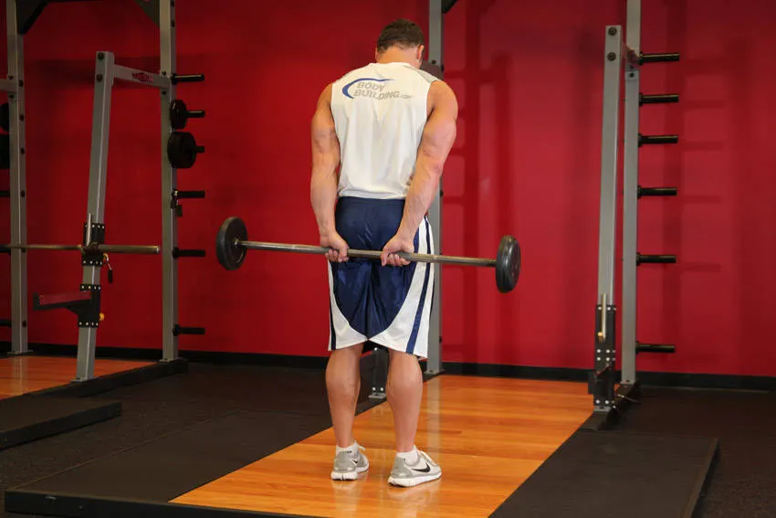 Standing Palms-Up Barbell Behind The Back Wrist Curl — end position
