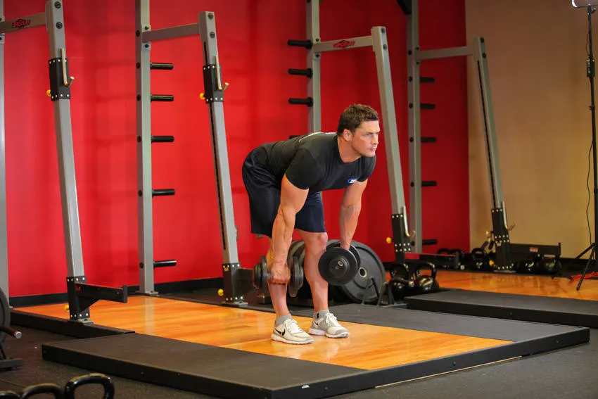 Stiff-Legged Dumbbell Deadlift — end position
