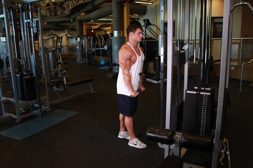 Triceps Pushdown — end position