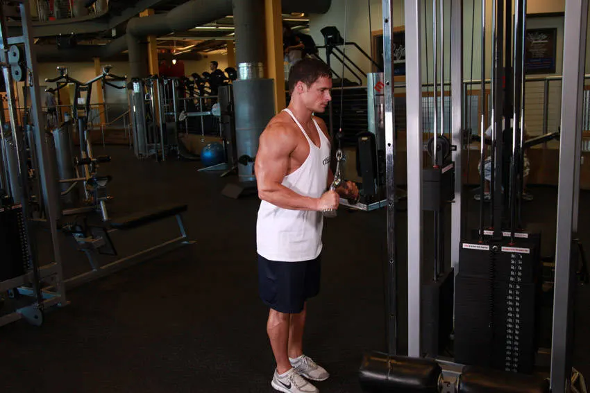 Triceps Pushdown - V-Bar Attachment exercise