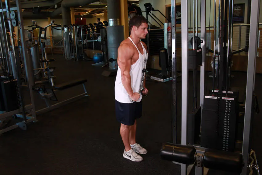 Triceps Pushdown - V-Bar Attachment — end position